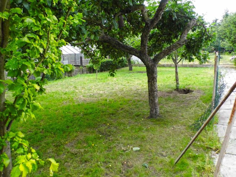 Wühlschutz und Buddelschutz für Hunde im Garten mit dem Rasennetz RN450