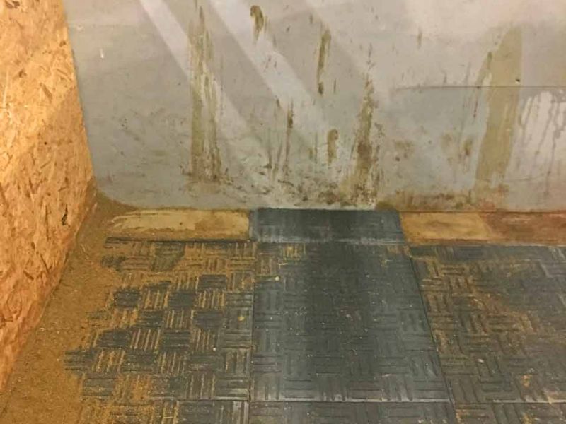 Stallmatten zur Verbesserung des Stallklima und Vereinfachung der Stallpflege