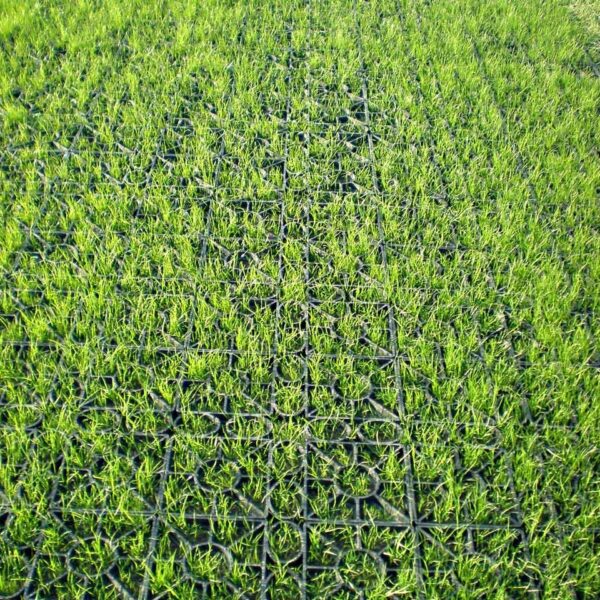 Rasengitter RG24 · 0,25 m² · 500 x 500 x 24 mm · 1,00 kg · Belastbar bis ca. 100 t/m² · On-Top Verlegung ohne Unterbau · Rasenbefestigung