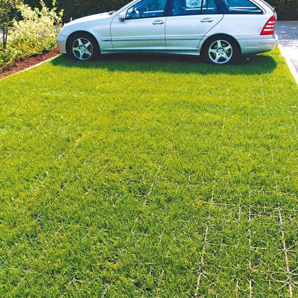 Rasengitter RG24 · 0,25 m² · 500 x 500 x 24 mm · 1,00 kg · Belastbar bis ca. 100 t/m² · On-Top Verlegung ohne Unterbau · Rasenbefestigung