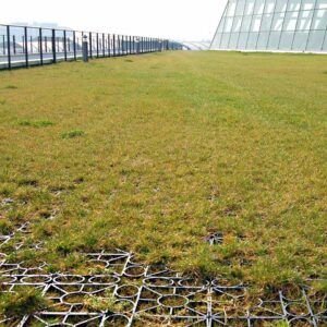 Rasengitter RG24 · 0,25 m² · 500 x 500 x 24 mm · 1,00 kg · Belastbar bis ca. 100 t/m² · On-Top Verlegung ohne Unterbau · Rasenbefestigung