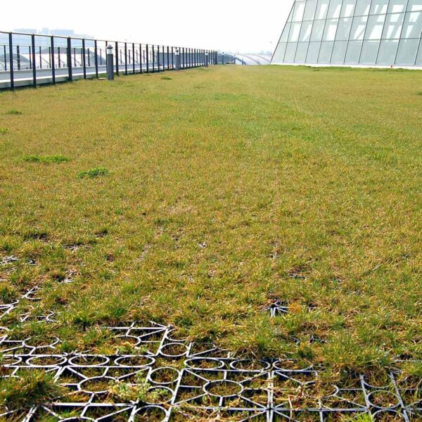 Rasengitter RG24 · 0,25 m² · 500 x 500 x 24 mm · 1,00 kg · Belastbar bis ca. 100 t/m² · On-Top Verlegung ohne Unterbau · Rasenbefestigung