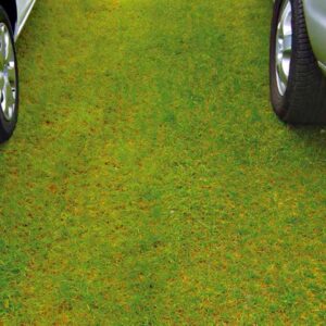 Rasenwabe RW40 Grün · 0,25 m² · 500 x 500 x 40 mm · 350,0 t/m² · 0,80 kg · 1,00mm Profilierung · 16 Kopplungen · On-Sub Verlegung · Drainage