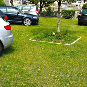 Rasenwabe RW40 Grün · 0,25 m² · 500 x 500 x 40 mm · 350,0 t/m² · 0,80 kg · 1,00mm Profilierung · 16 Kopplungen · On-Sub Verlegung · Drainage