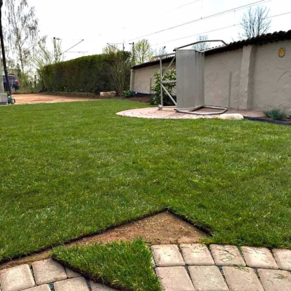 Rasenwabe RW40 Grün · 0,25 m² · 500 x 500 x 40 mm · 350,0 t/m² · 0,80 kg · 1,00mm Profilierung · 16 Kopplungen · On-Sub Verlegung · Drainage