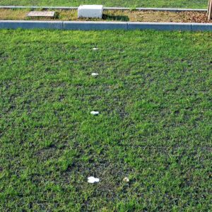 Rasenwabe RW40 Grün · 0,25 m² · 500 x 500 x 40 mm · 350,0 t/m² · 0,80 kg · 1,00mm Profilierung · 16 Kopplungen · On-Sub Verlegung · Drainage