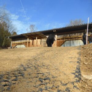 Ankergitter AG60, 400 x 400 x 60 mm, 0,9 kg. Bodengitter mit integrierten Ankerelementen, Drainagefunktion & extremer Lastverteilung. Profilierte Oberfläche.