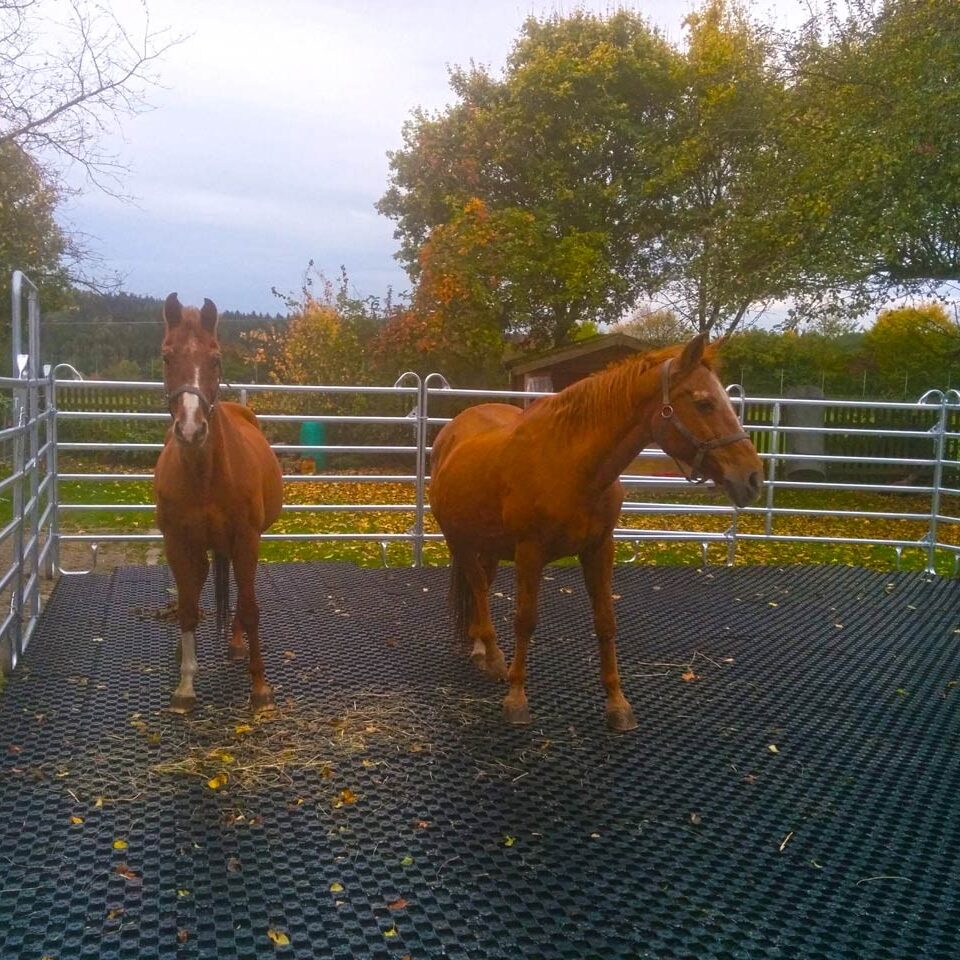 Ankergitter AG60, 400 x 400 x 60 mm, 0,9 kg. Bodengitter mit integrierten Ankerelementen, Drainagefunktion & extremer Lastverteilung. Profilierte Oberfläche.