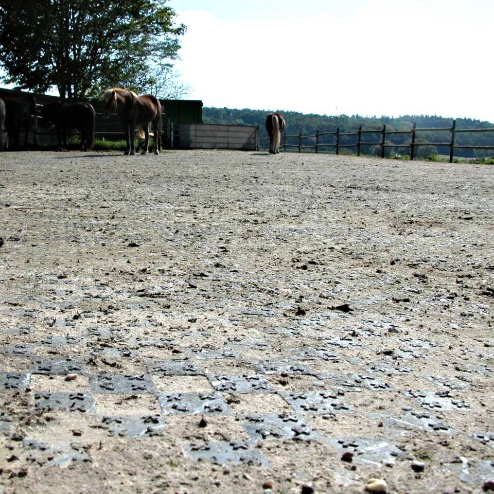 Ankergitter AG60, 400 x 400 x 60 mm, 0,9 kg. Bodengitter mit integrierten Ankerelementen, Drainagefunktion & extremer Lastverteilung. Profilierte Oberfläche.