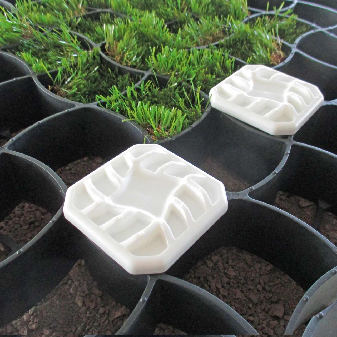 Kunststoff-Rasengitter mit weißen Abstandshaltern und eingesätem Rasen – ideal zur Befestigung und Stabilisierung von befahrbaren Grünflächen.