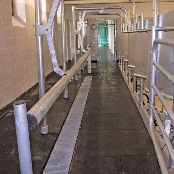 Bodenmatte als Gehfläche für Tiere in einer Halle. An den Seiten befinden sich Gestelle, die die Tiere leiten sollen.