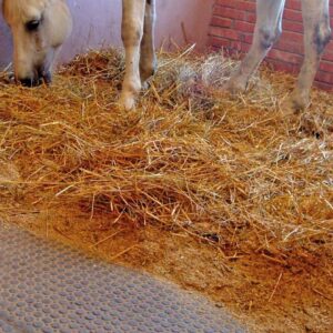 Ein Pferd steht in einem Stall auf Heu. Unter dem Heu wurden Bodenmatten verlegt.