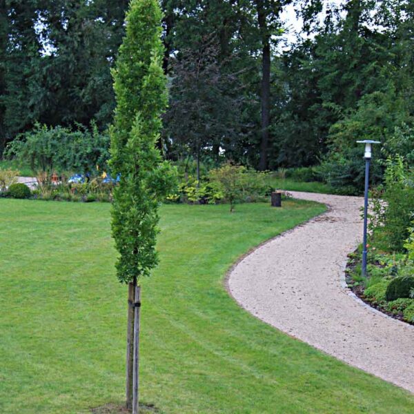 Kiesgitter KG30 ·580 x 580 x 30 mm · 400,0 t/m² · 16 Kopplungen · Galabau Profi-Qualität zur Stabilisierung von Wegen und Flächen mit Kies, Schotter und Splitt.