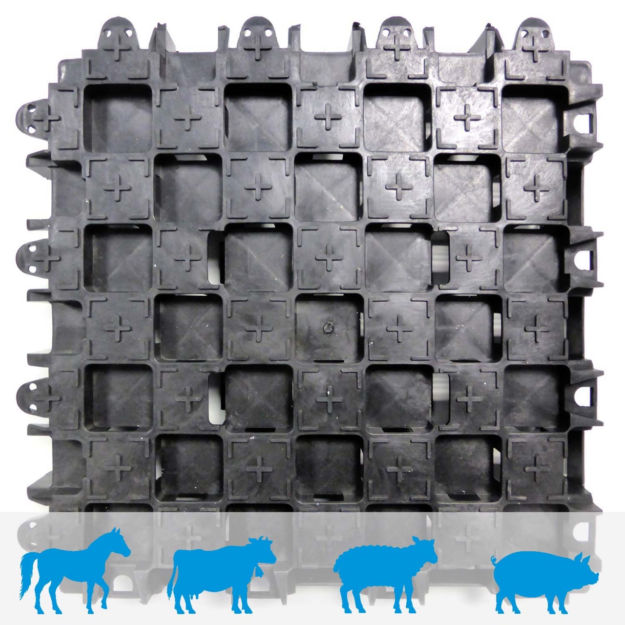 paddockplatte pp60 01 1280x1280