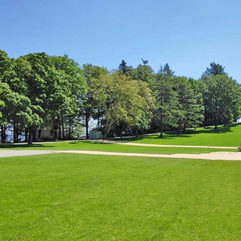 SignaRoad Schwerlastplatte als temporärer Weg auf einer Wiese. Im Hintergrund sieht man ein kleines Wäldchen.