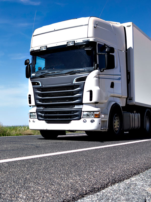 Versand, alle Details zu Versandgebieten, Versandarten, Ansprechpartnern, Lageradresse und Zeiten.