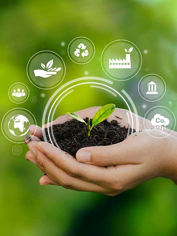 Zwei Hände halten etwas Erde. In der Erde ist ein Keimling. Verschiedene Symbole sind um die Hand verteilt.