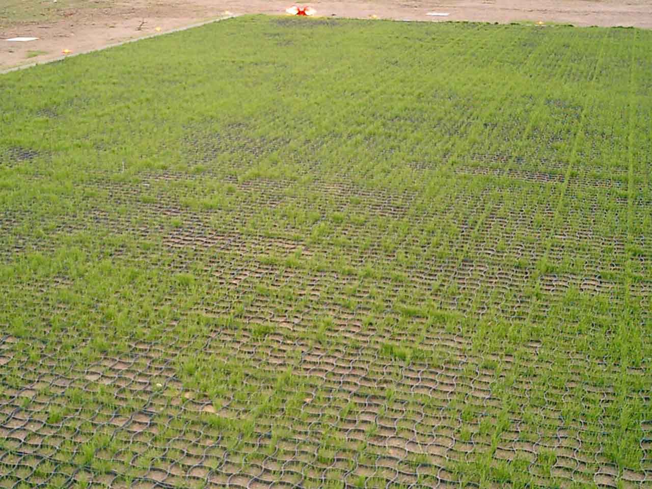 Bodenbefestigung mit Bodengitter BG50