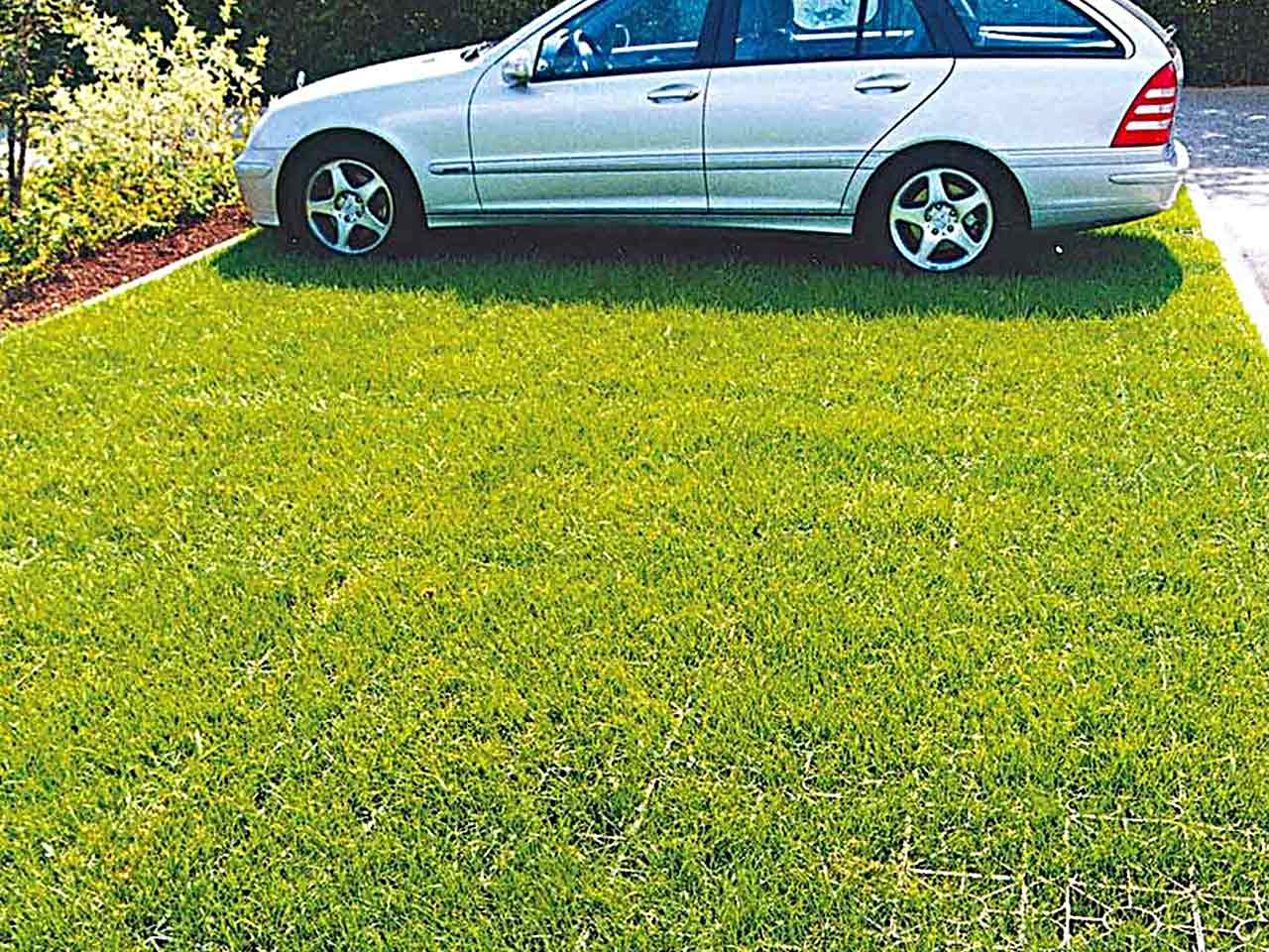 PWK auf befestigtem Rasenstellplatz