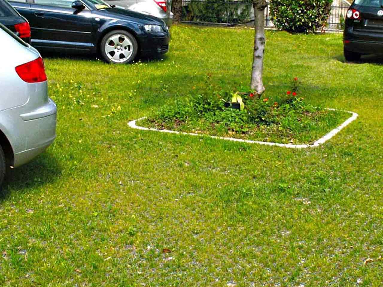 PKW parken auf stabilisierter Rasenfläche